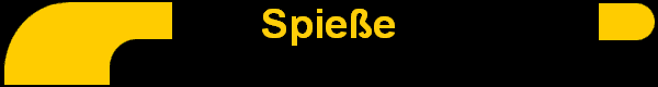 Spie�e